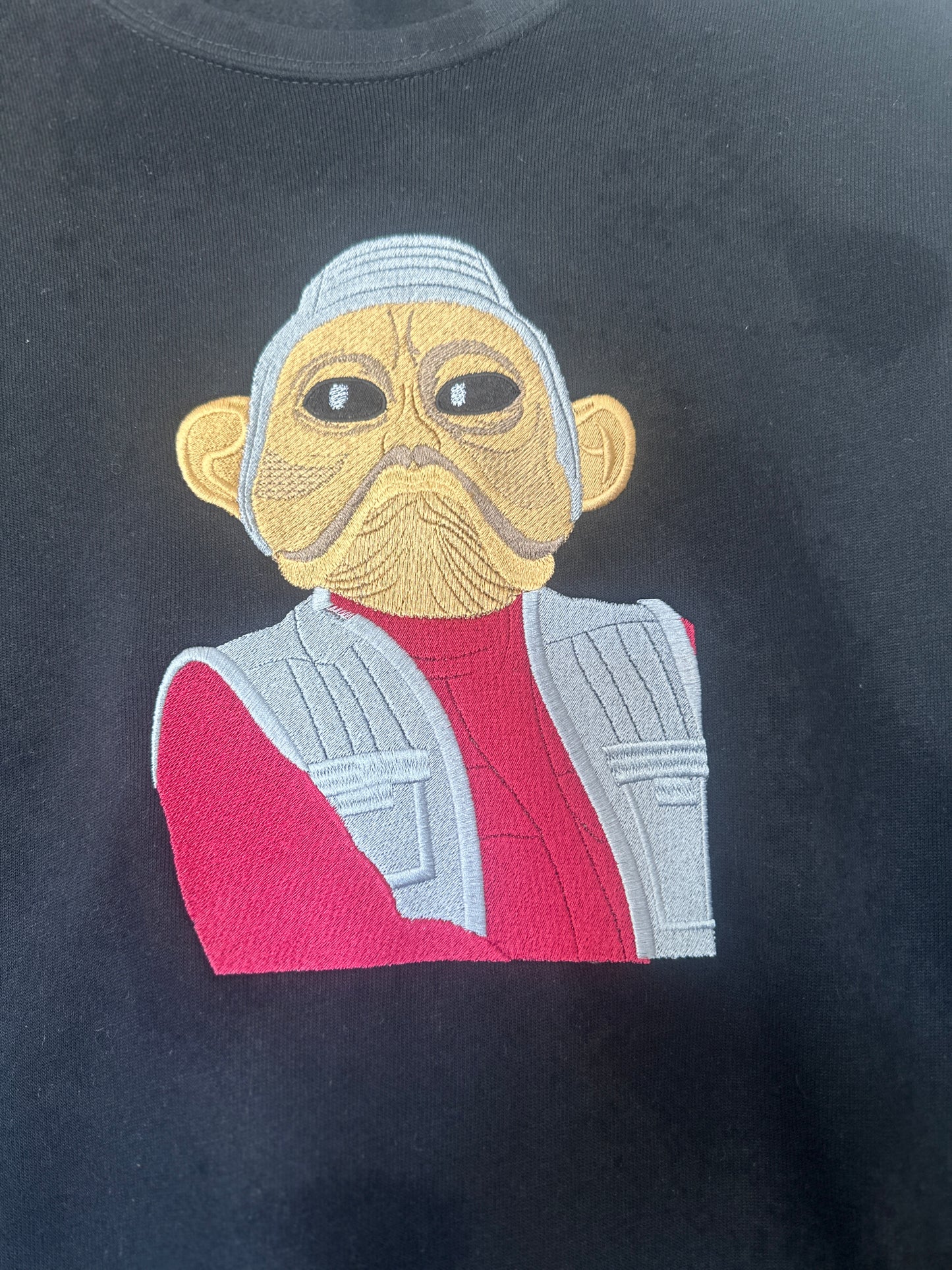 Star Wars inspired pilot