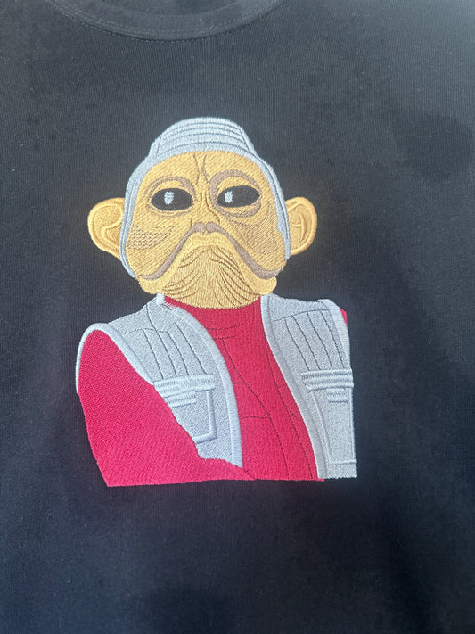 Star Wars inspired pilot
